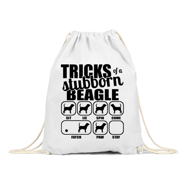 Stubborn beagle