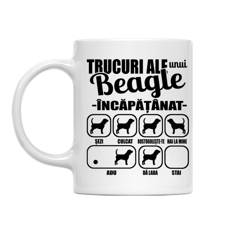 Beagle încăpățânat