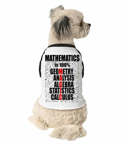 Matemathics magic Munka Állatoknak - Tanár
