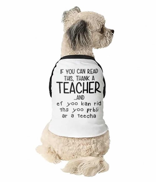 Teacher funny Póló - Ha Teacher rajongó ezeket a pólókat tuti imádni fogod!