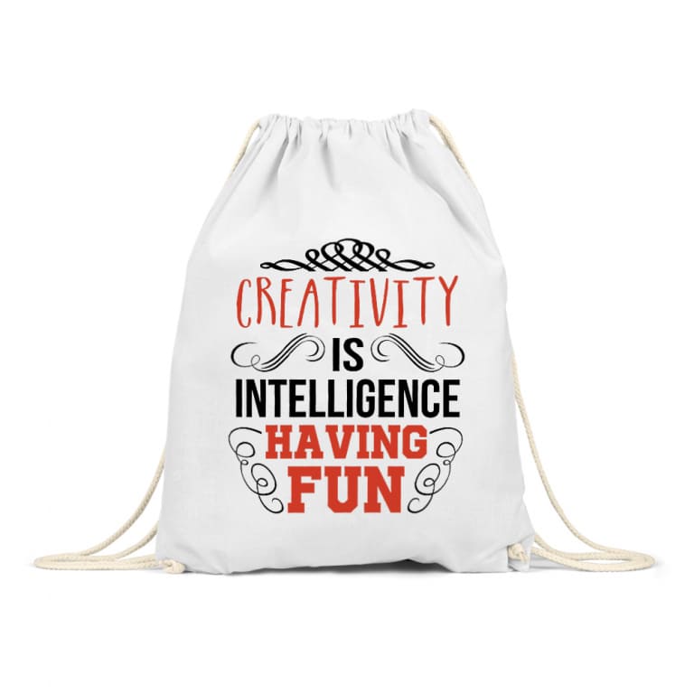 Creativity is intelligence having fun