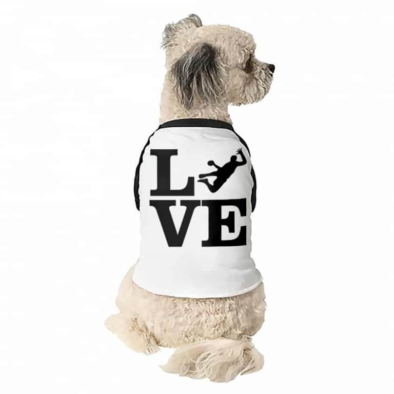 Hanball Love