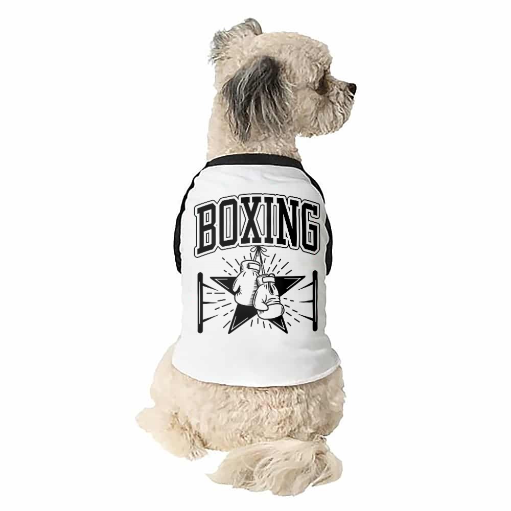Boxing Kutyapóló