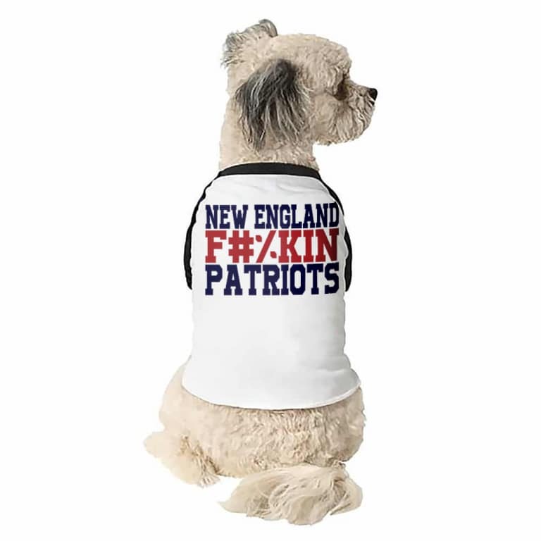 New England fuckin patriots - Kutyapóló