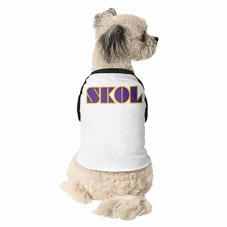 Skol - Kutyapóló