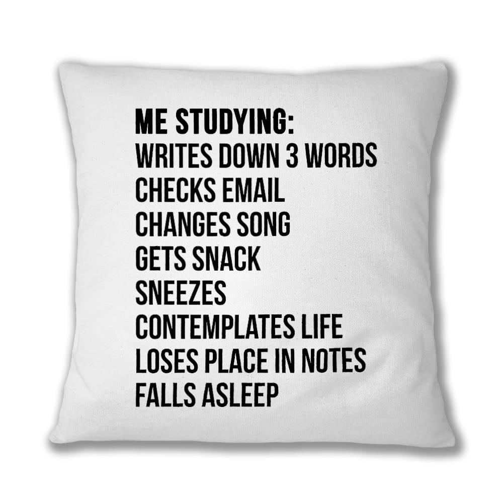 Me studying Párnahuzat