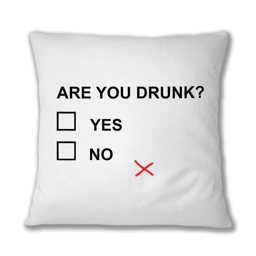 Are you drunk? Párnahuzat
