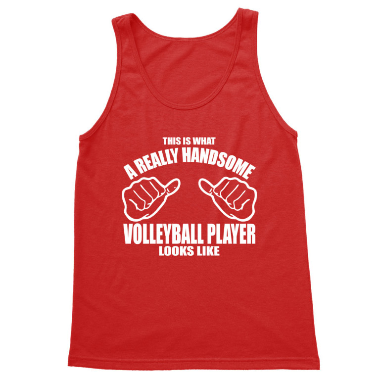 Handsome volleyball player