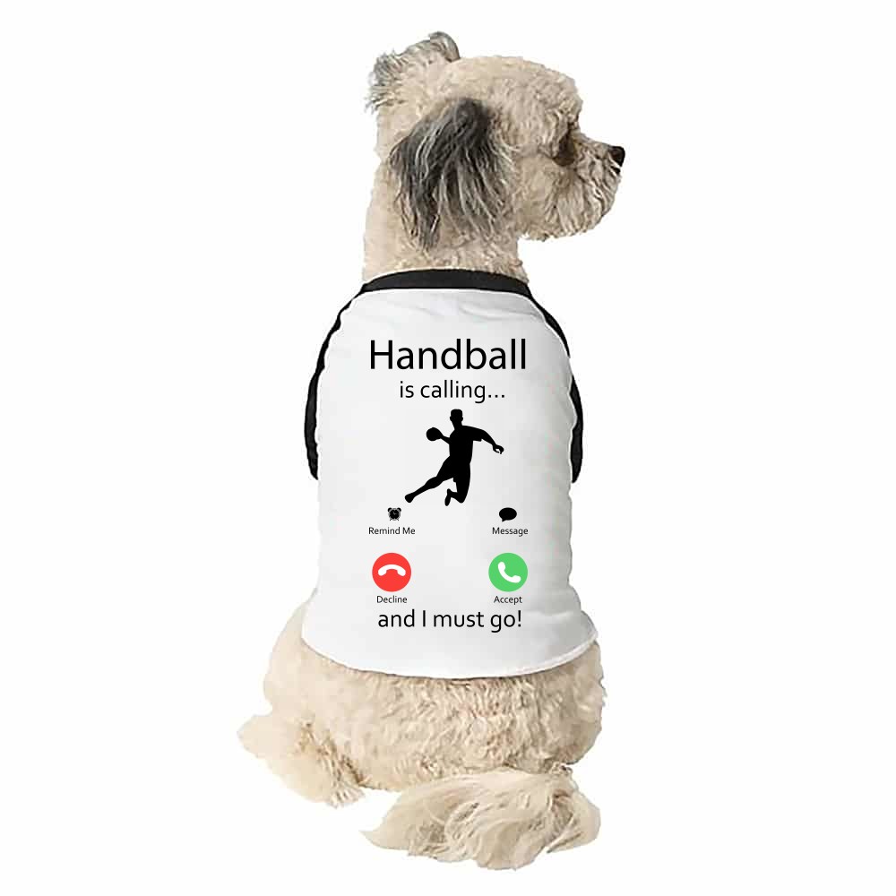 Handball is calling Kutyapóló