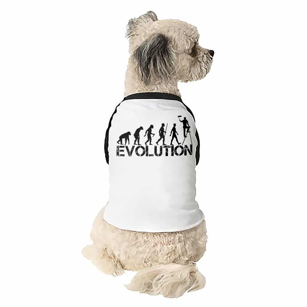 Szobafestő Evolúció Kutyapóló