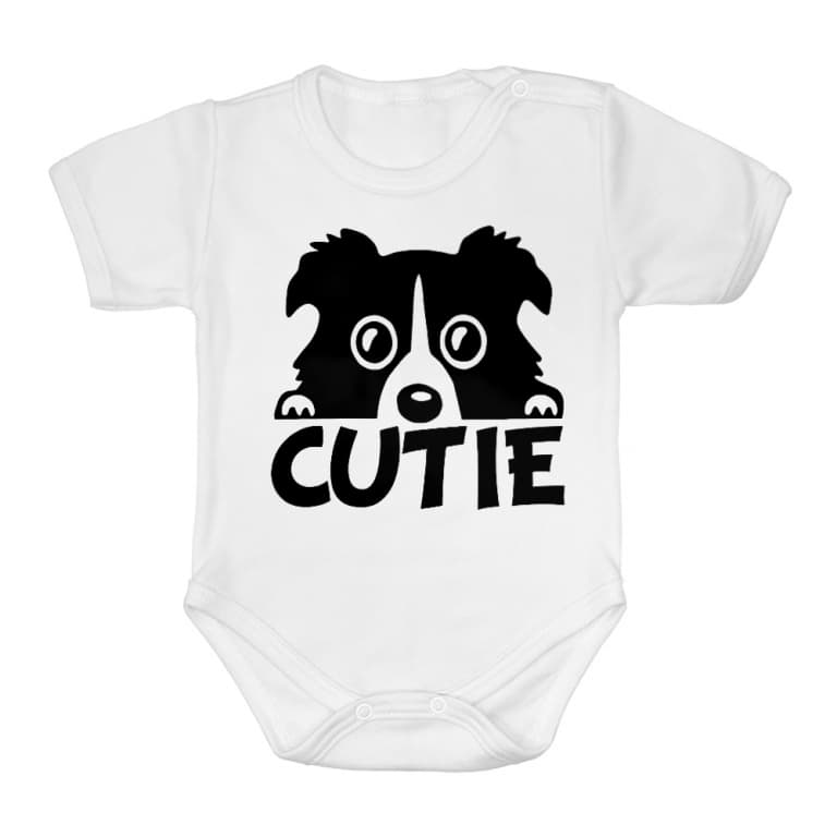 Cutie border collie