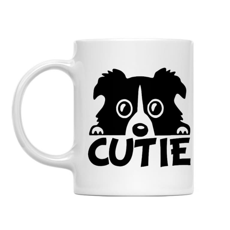 Cutie border collie