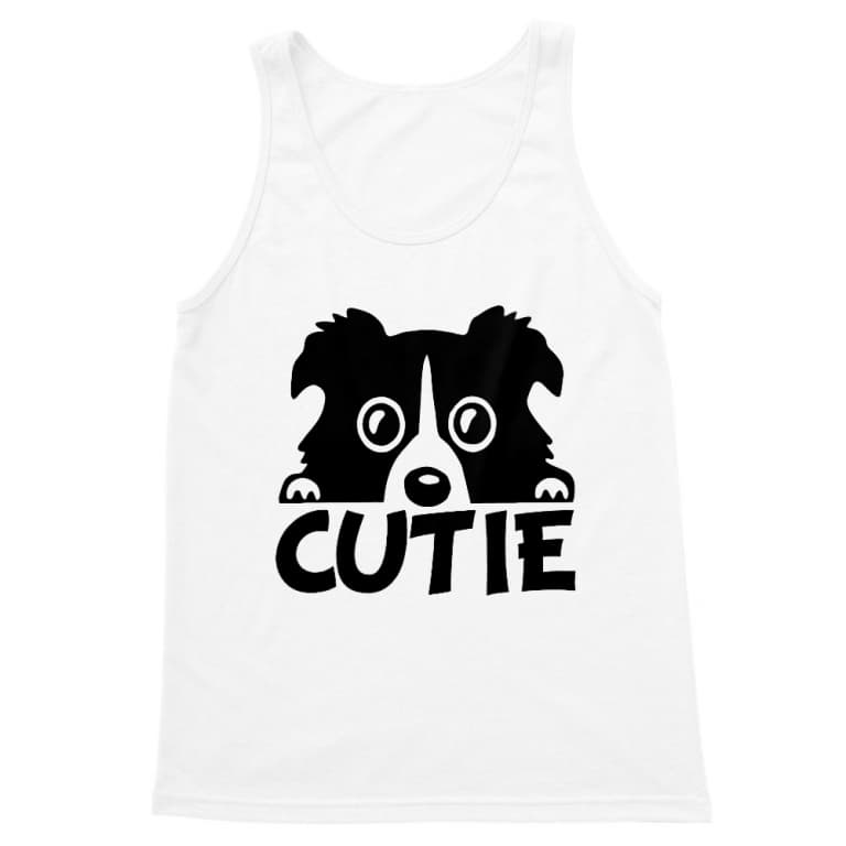 Cutie border collie