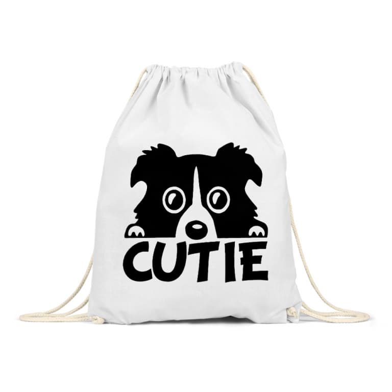 Cutie border collie