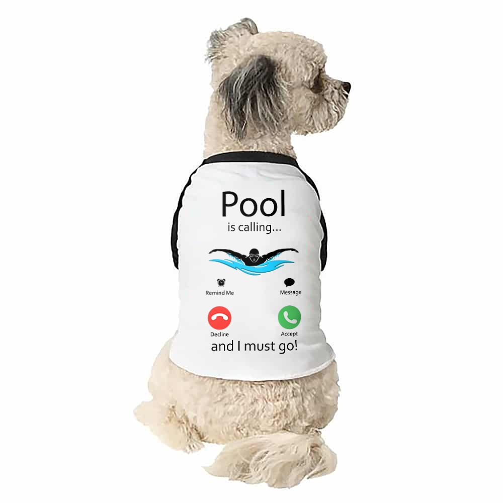 Pool is calling Kutyapóló