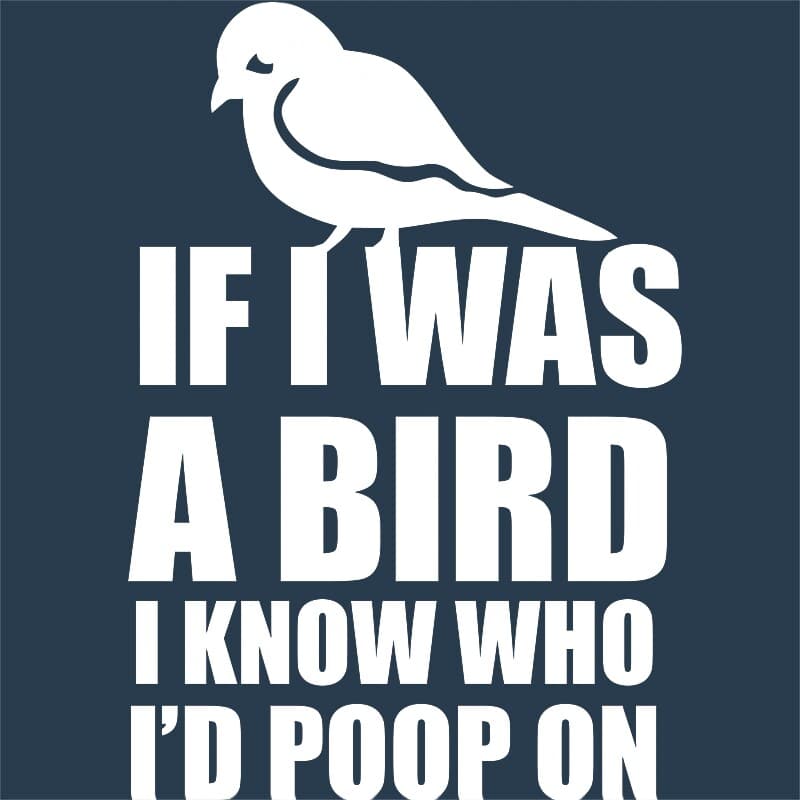 If I was a bird