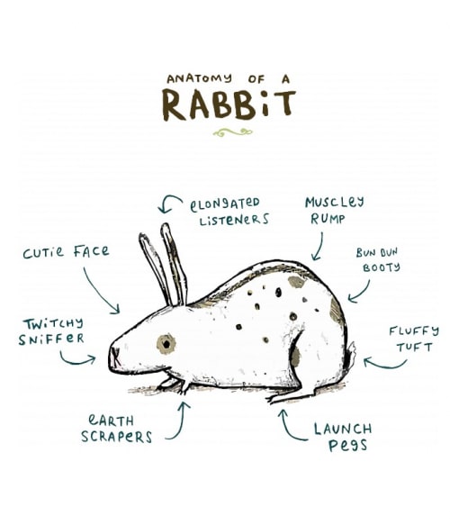 Anatomy of a rabbit Nyuszis Pólók, Pulóverek, Bögrék - Nyuszis
