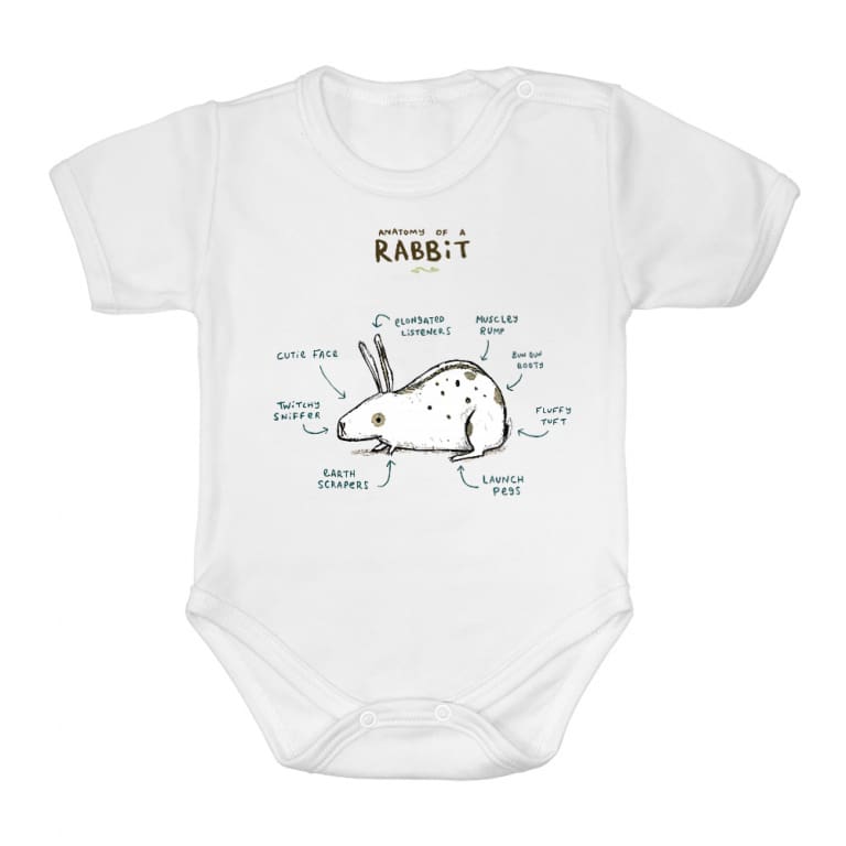Anatomy of a rabbit