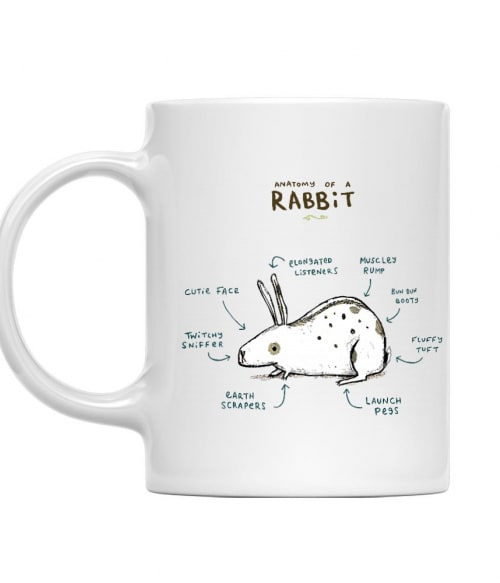 Anatomy of a rabbit Nyuszis Bögre - Nyuszis