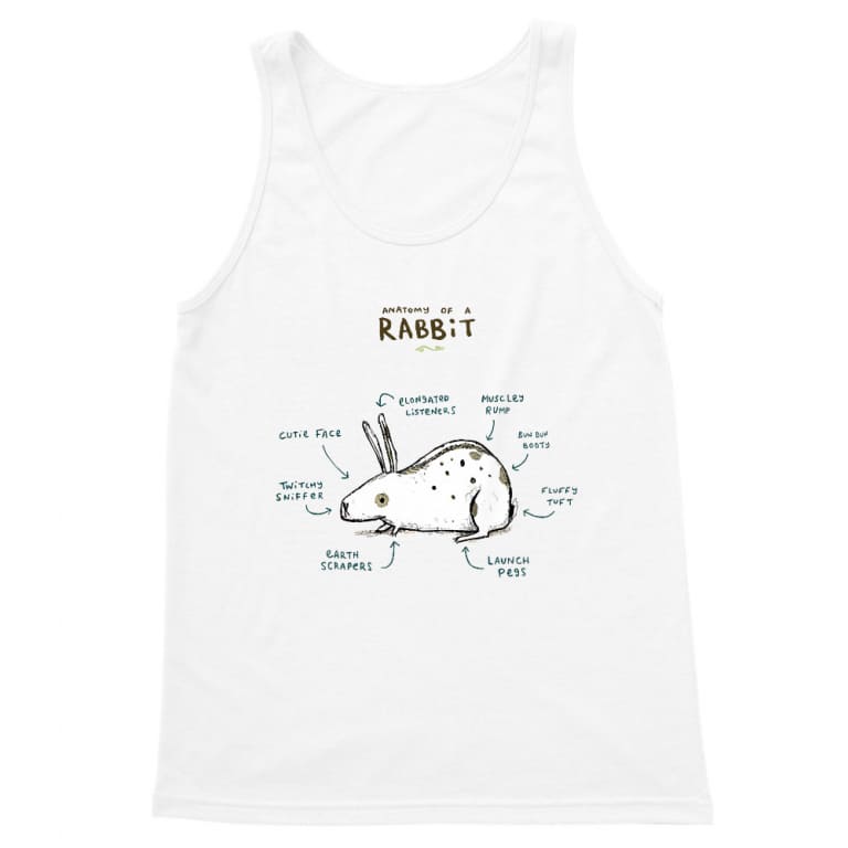 Anatomy of a rabbit