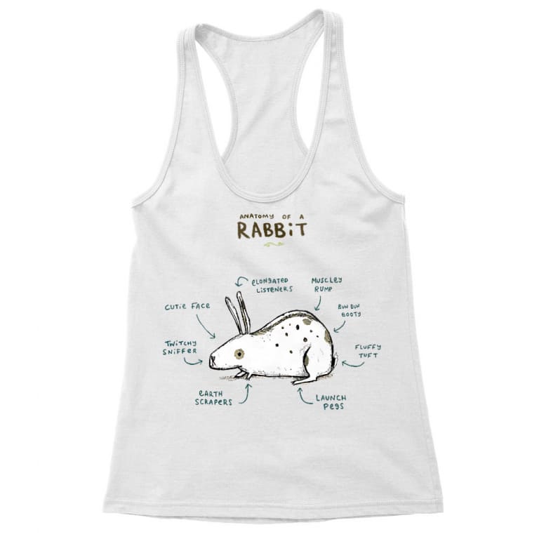 Anatomy of a rabbit