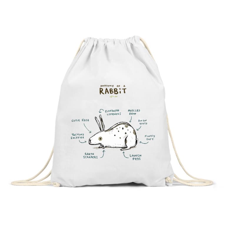 Anatomy of a rabbit