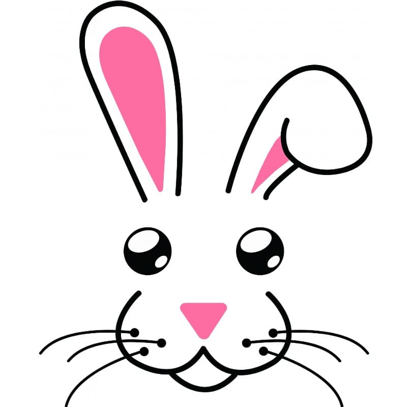 Bunny face