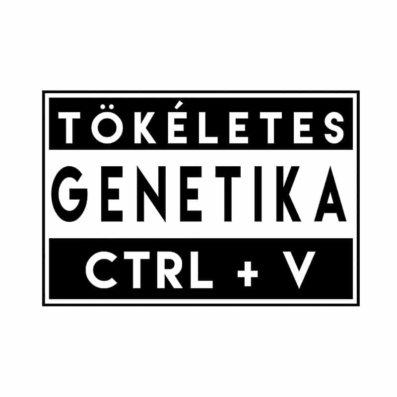 Tökéletes genetika V - Design preview