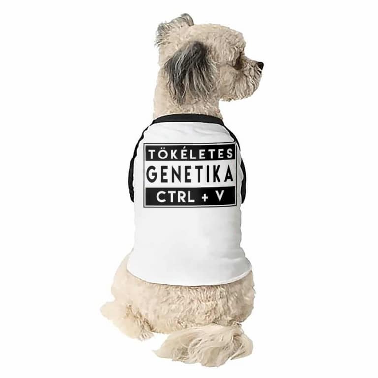 Tökéletes genetika V