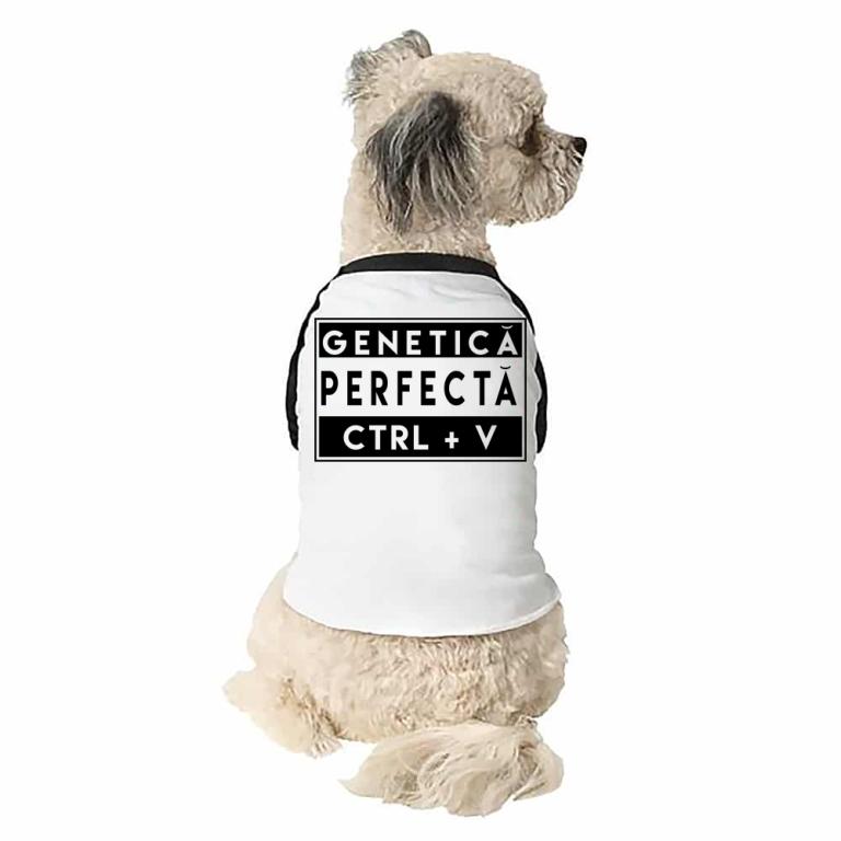 Genetică perfectă V - Câine tricouri