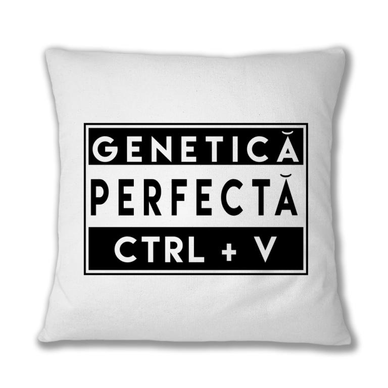 Genetică perfectă V - Față de pernă