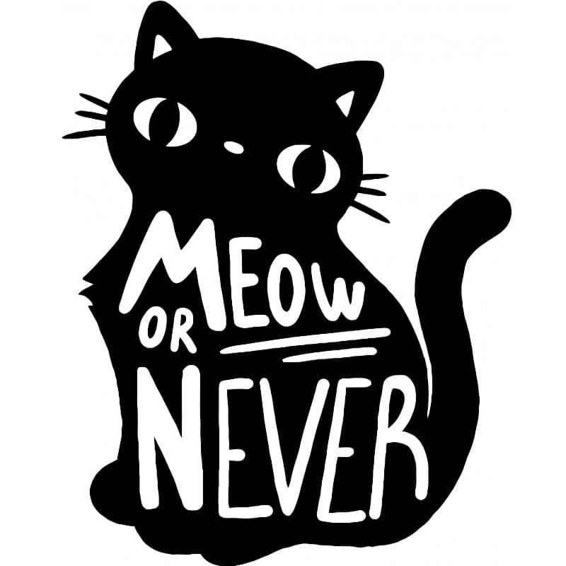 Meow or never - Design preview