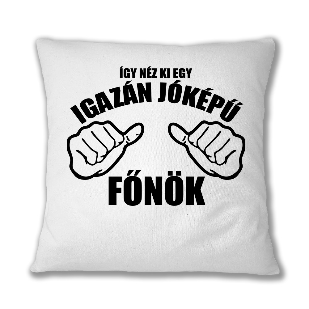 Jóképű főnök Párnahuzat