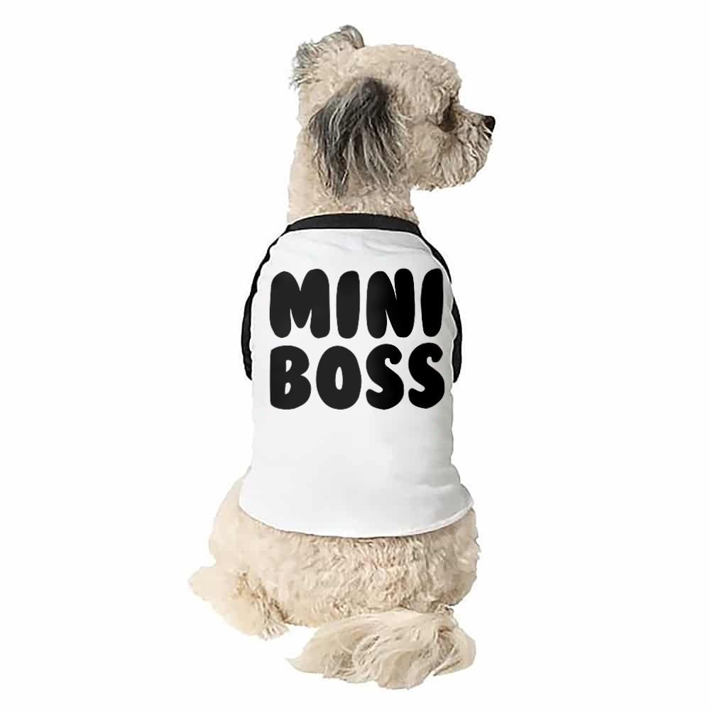Mini boss Kutyapóló