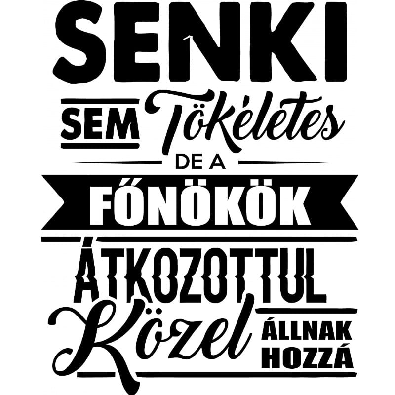Senki sem tökéletes - főnök