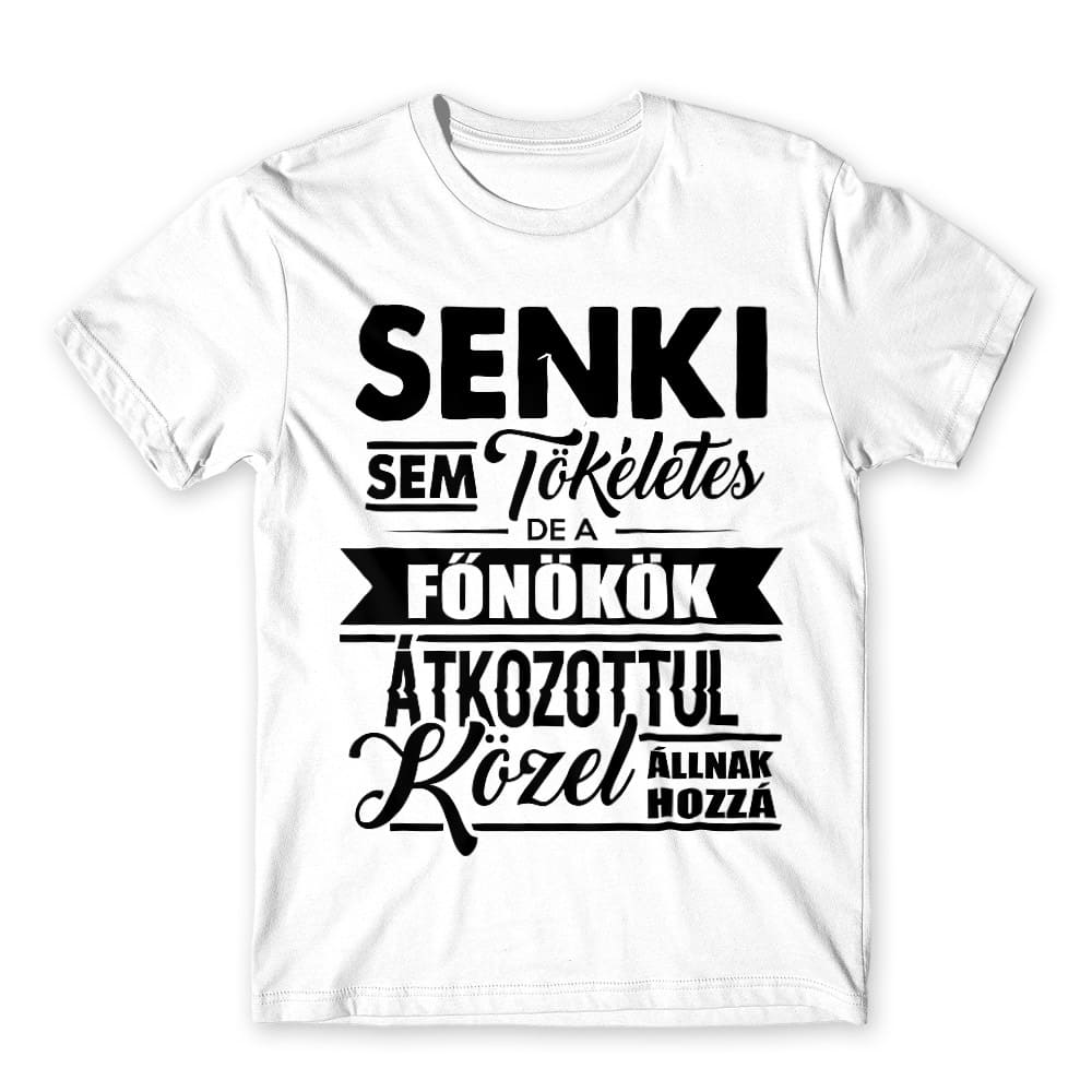 Senki sem tökéletes - főnök Férfi Póló
