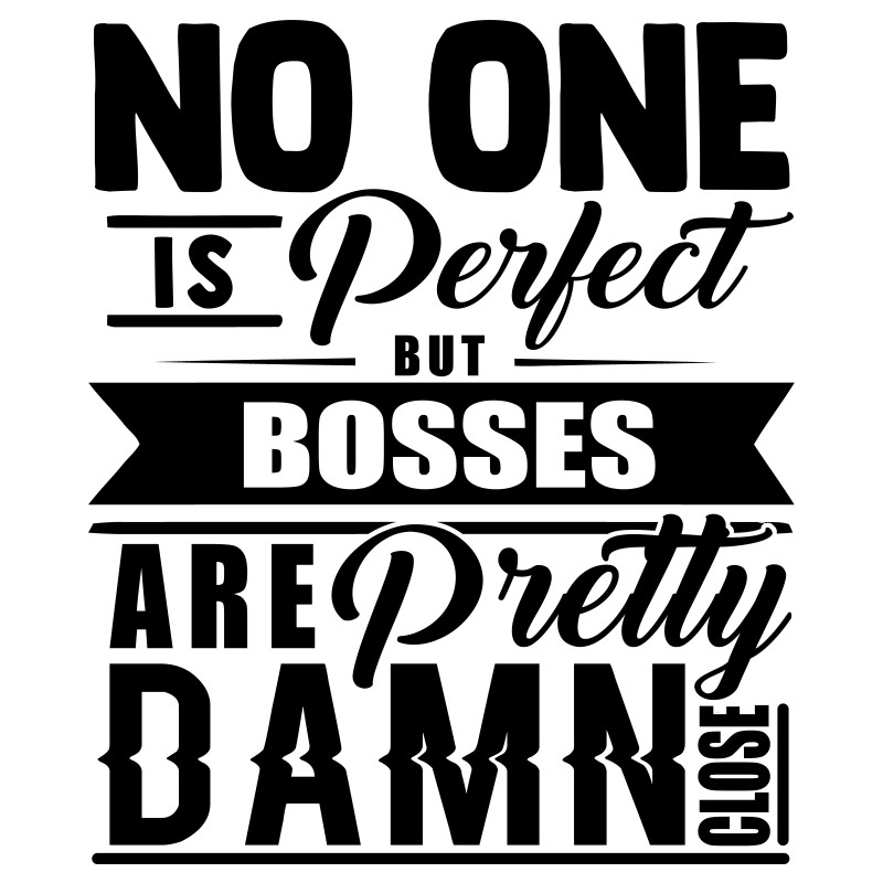 Nobody is perfect - boss