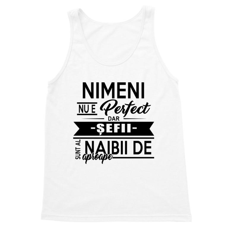 Nimeni nu este perfect - Șef