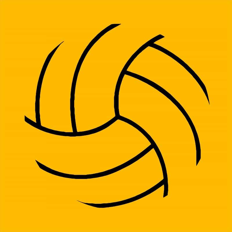 Water Polo Ball