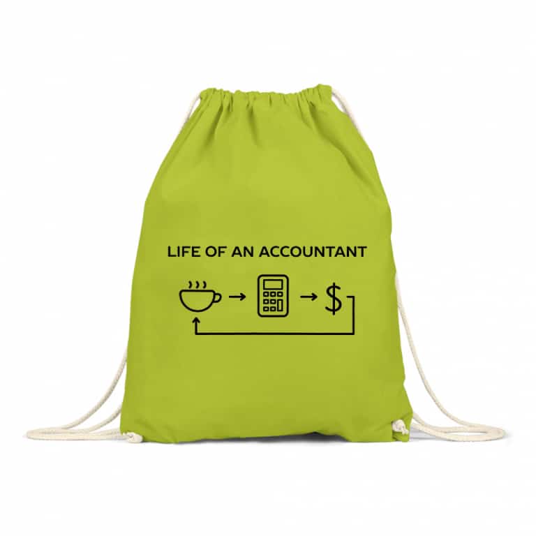 Life of an accountant