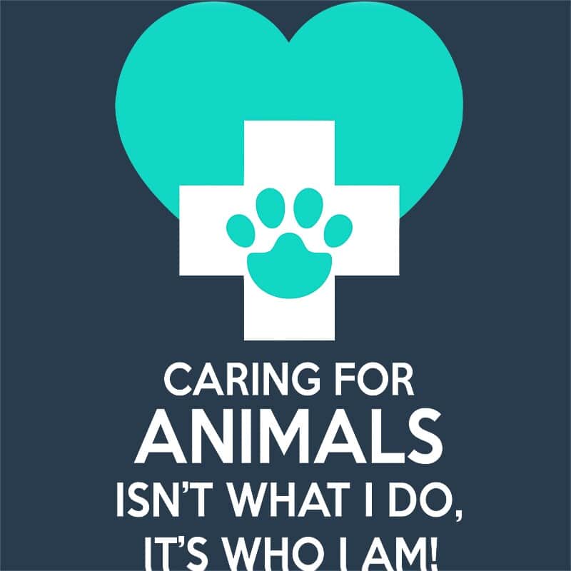 Caring for animals
