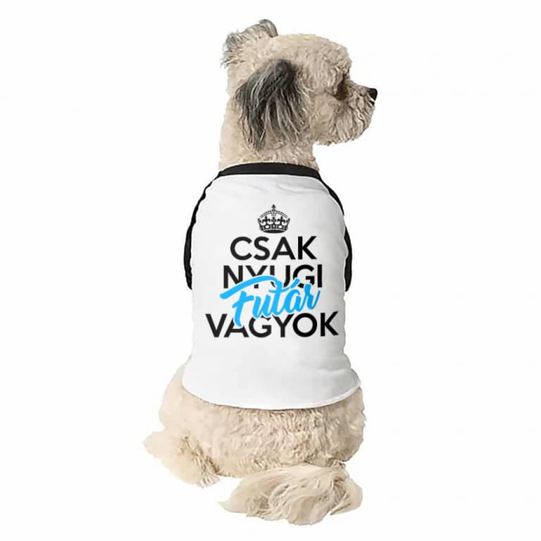 Csak nyugi futár vagyok