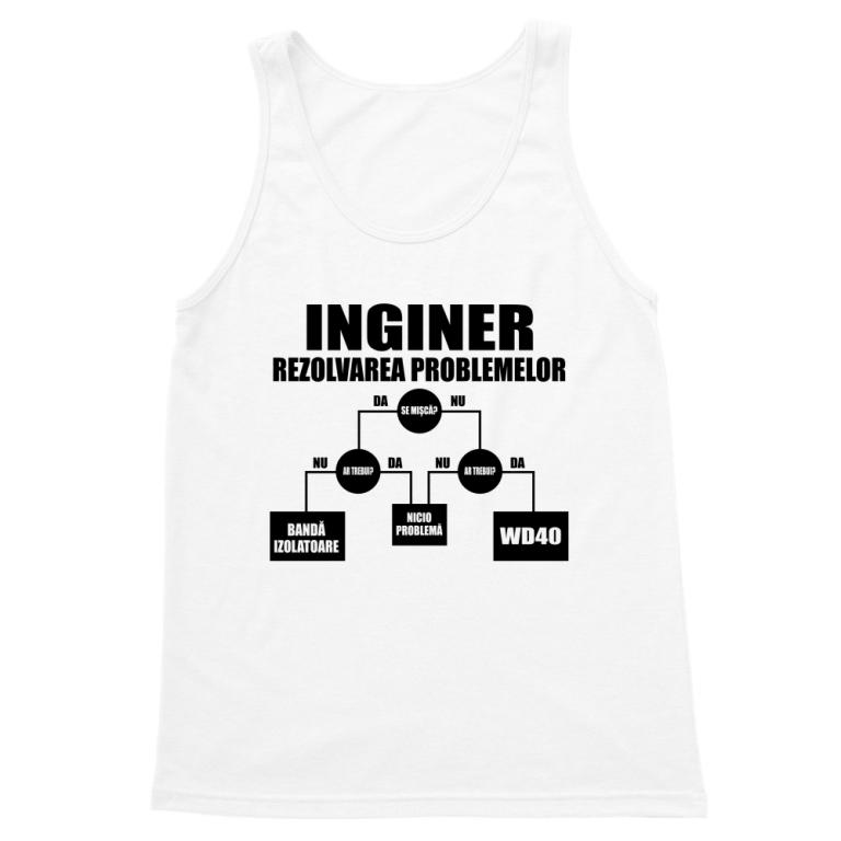 Inginer rezolvarea problemelor