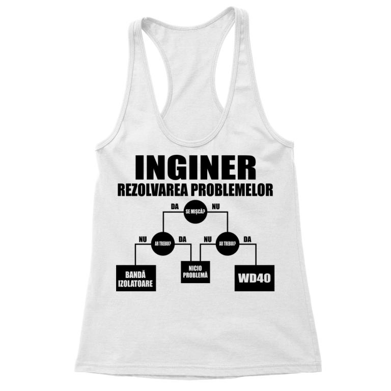 Inginer rezolvarea problemelor