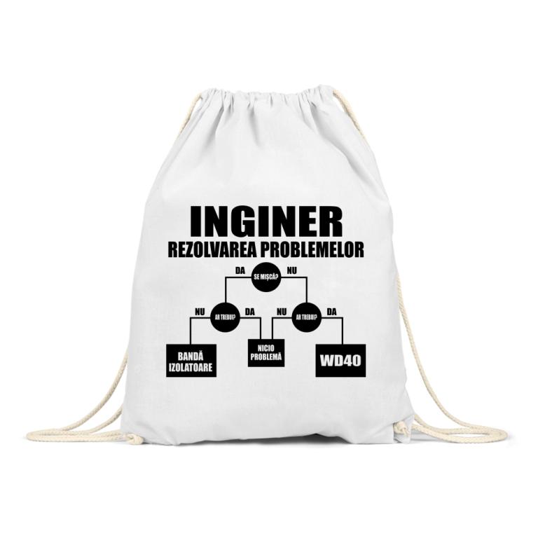 Inginer rezolvarea problemelor