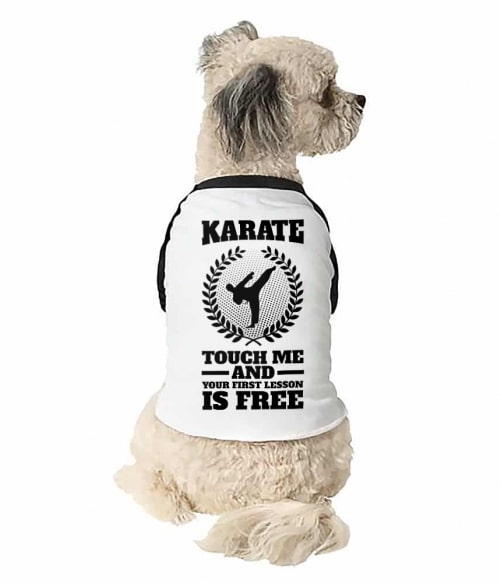 First lesson is free Póló - Ha Karate rajongó ezeket a pólókat tuti imádni fogod!
