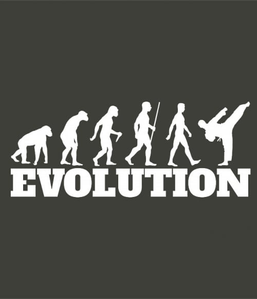 Karate evolution Küzdősport Pólók, Pulóverek, Bögrék - Sport