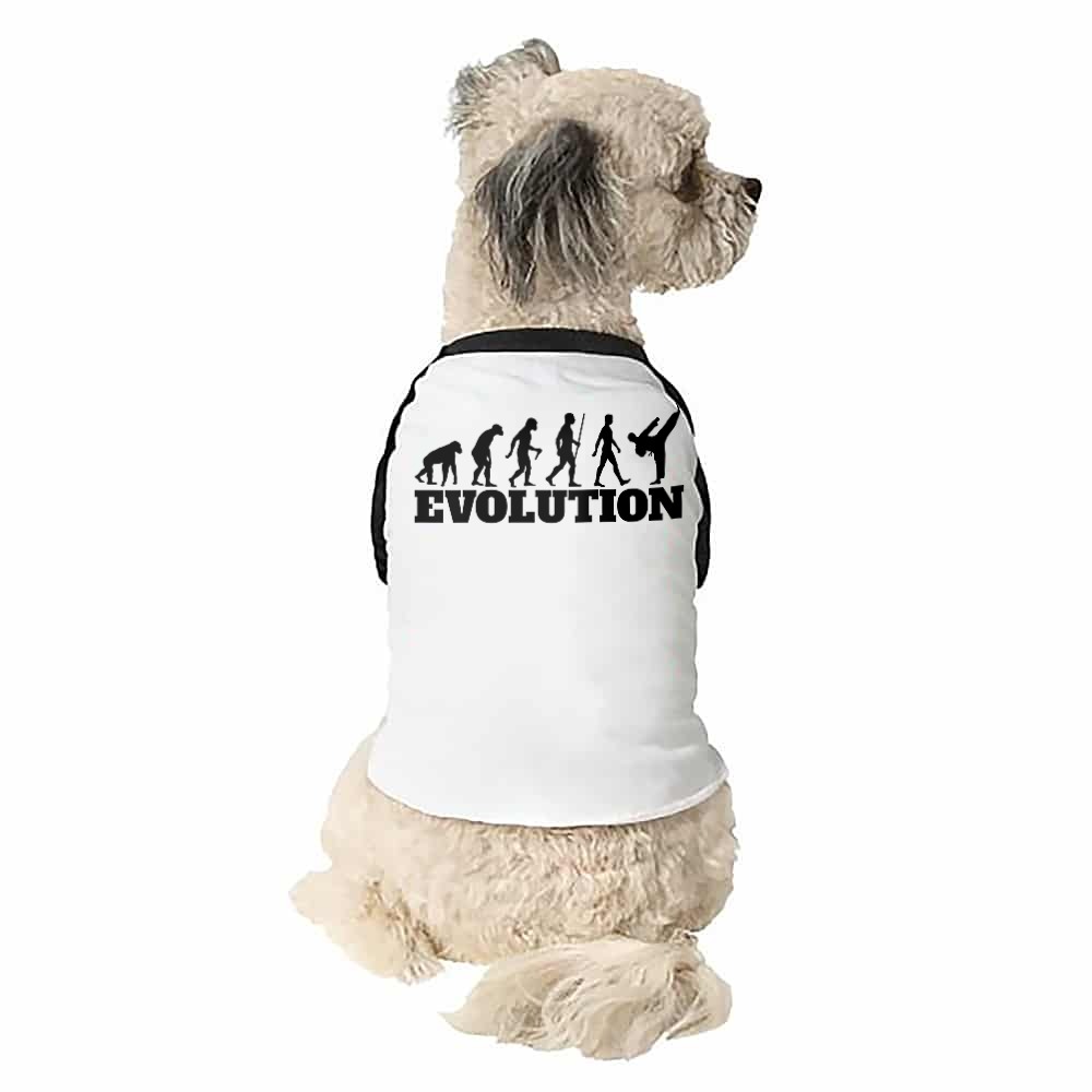 Karate evolution Kutyapóló
