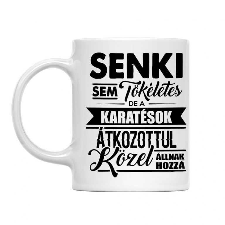 Senki sem tökéletes - karate - Bögre