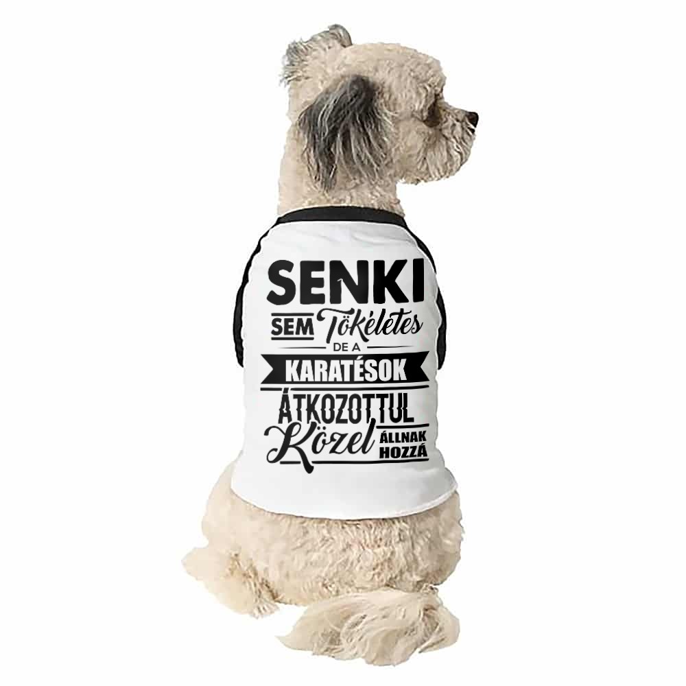 Senki sem tökéletes - karate Kutyapóló